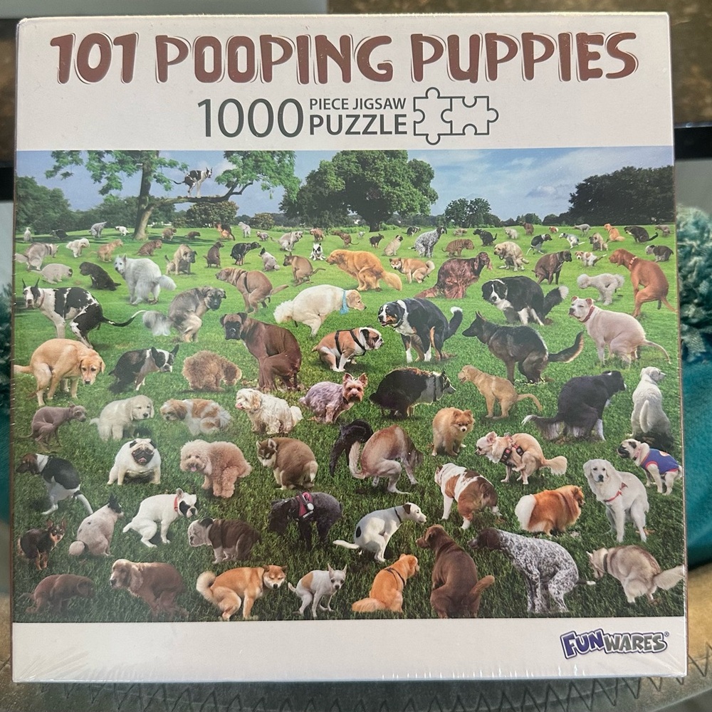 1000 piece puzzle